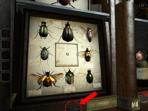Chapter6 Insert Bug and Beetles
